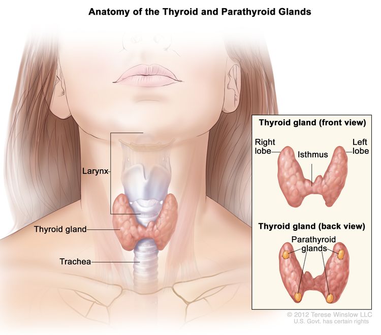 Thyroid Disorder Treatment 