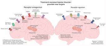 Bipolar Disorder Management